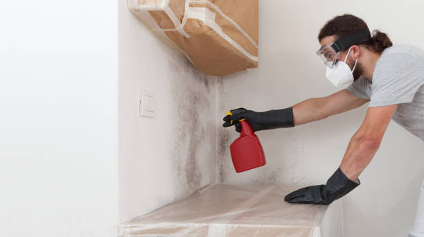 Professional Mold Removal technician working in Thorofare, NJ