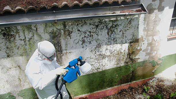 Top rated local Mold Removal specialists in Thorofare, NJ